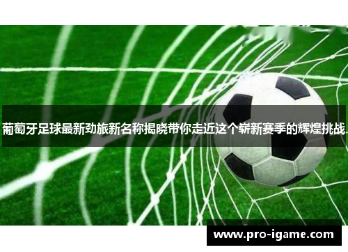 葡萄牙足球最新劲旅新名称揭晓带你走近这个崭新赛季的辉煌挑战 葡萄牙足球最新劲旅新名称揭晓带你走近这个崭新赛季的辉煌挑战