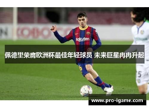 佩德里荣膺欧洲杯最佳年轻球员 未来巨星冉冉升起